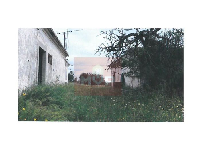 Image No.8-Maison à vendre à Tavira