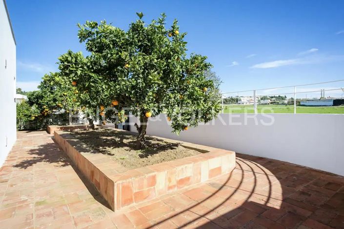 Image No.28-3 Bed House for sale