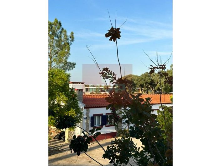 Image No.5-5 Bed House for sale