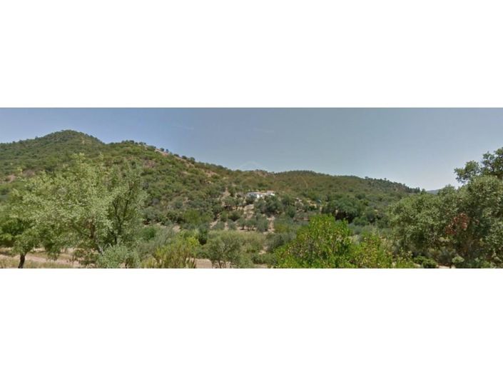 Image No.5-6 Bed House for sale