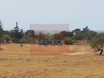 akdo9h29hgyj2va010