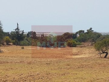 akdo9h29hgyj2va011