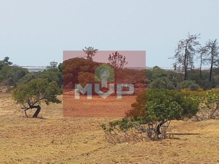 Image No.14-2 Bed House for sale