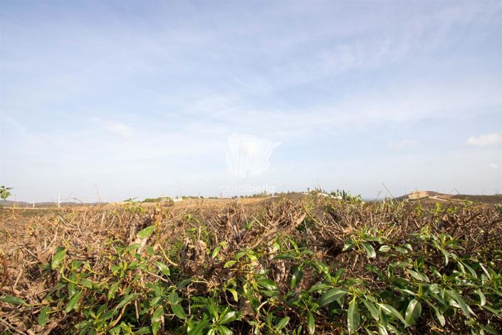 Image No.57-3 Bed House for sale