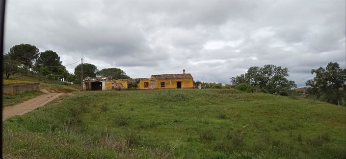 Image No.1-House for sale