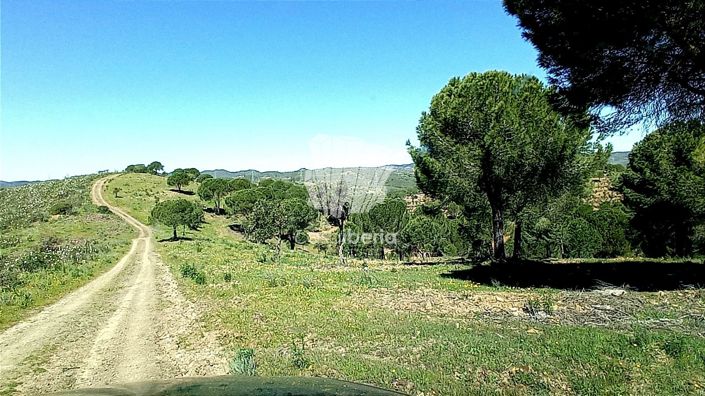 Image No.8-House for sale