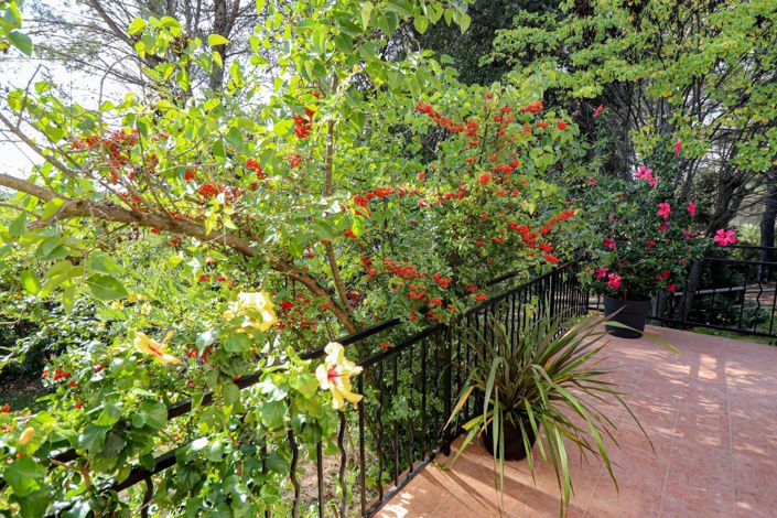 Image No.63-4 Bed House for sale