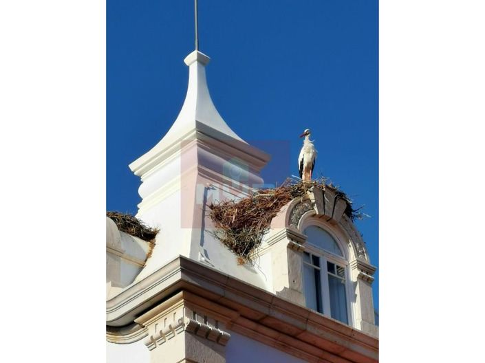 Image No.21-5 Bed House for sale