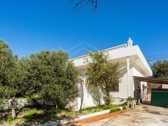 Image No.25-4 Bed House for sale