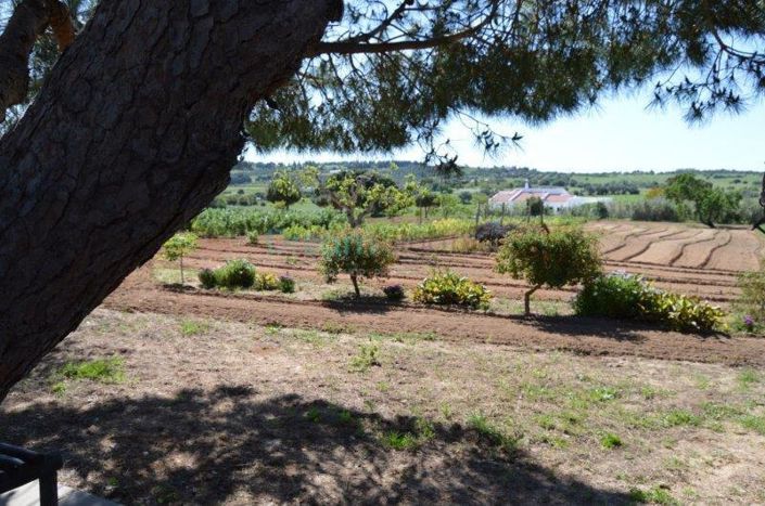 Image No.32-9 Bed House for sale