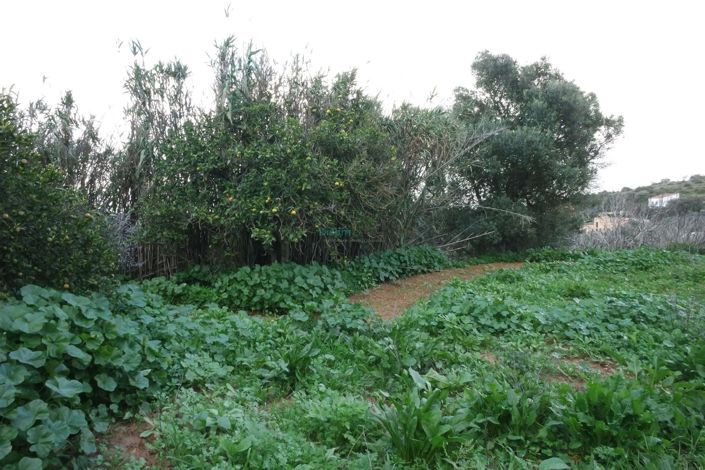 Image No.17-5 Bed House for sale