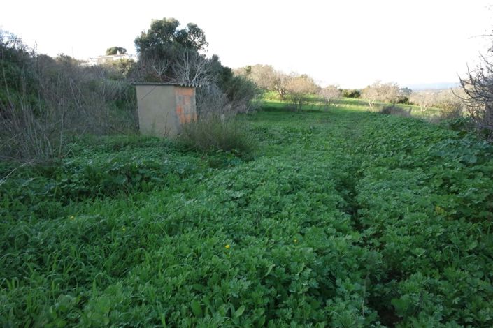 Image No.20-5 Bed House for sale