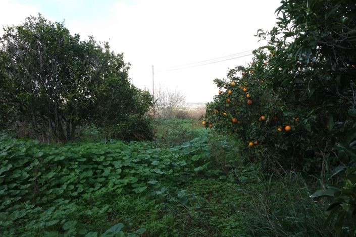 Image No.23-5 Bed House for sale