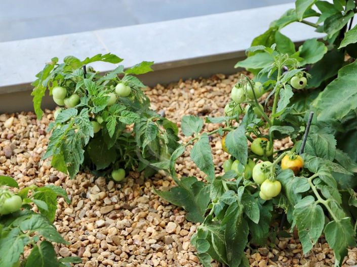 Image No.39-Appartement de 2 chambres à vendre à Faro City