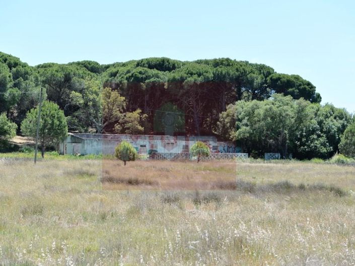 Image No.16-5 Bed House for sale