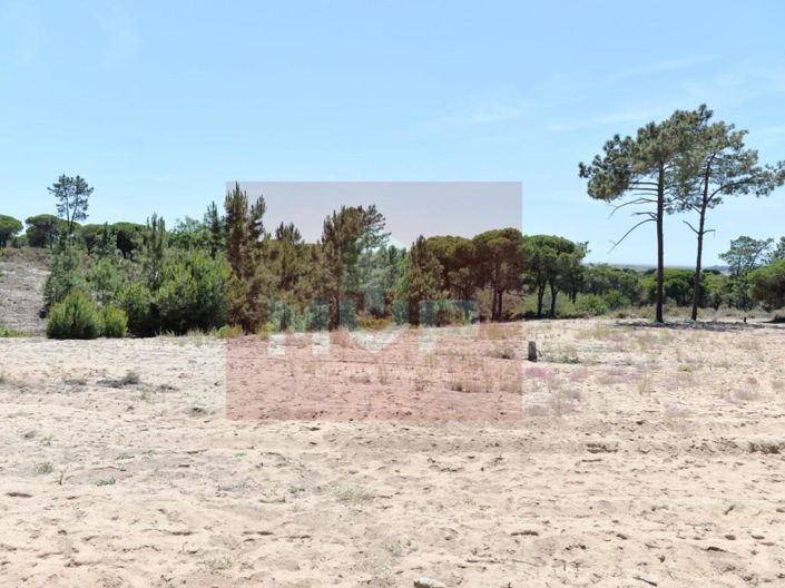 Image No.17-5 Bed House for sale