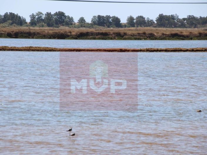 Image No.24-5 Bed House for sale