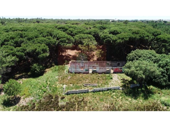 Image No.4-5 Bed House for sale