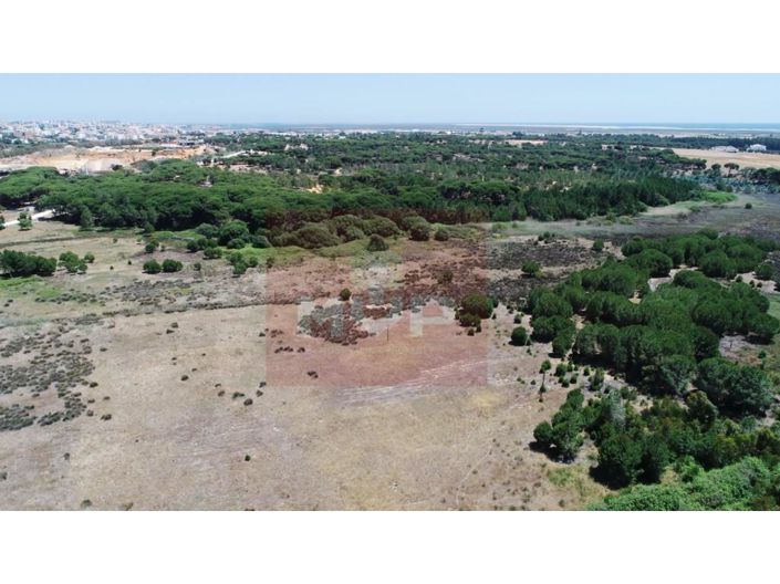 Image No.6-5 Bed House for sale