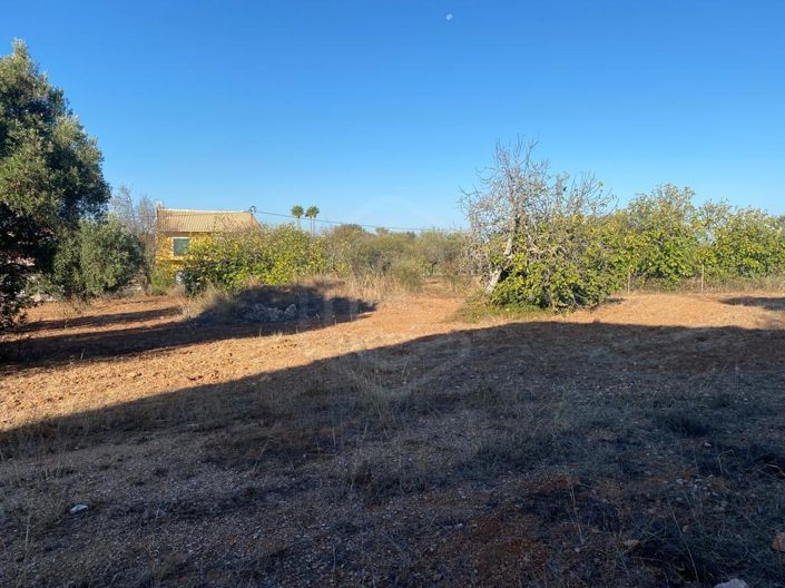 Image No.23-3 Bed House for sale