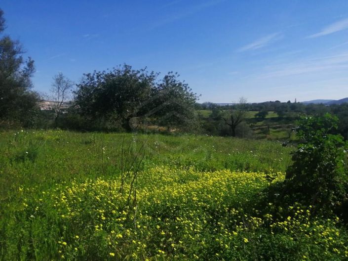 Image No.12-Maison de 5 chambres à vendre à Loule