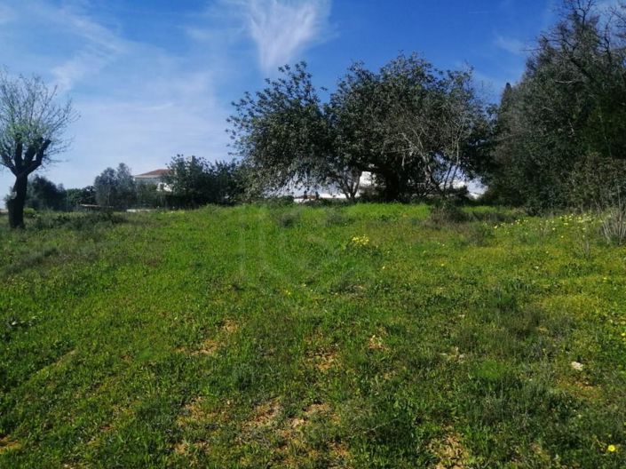 Image No.9-Maison de 5 chambres à vendre à Loule