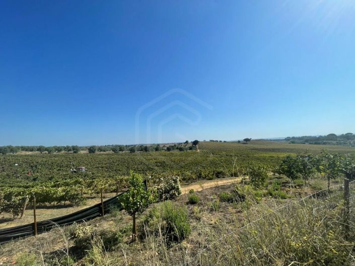 Image No.17-House for sale