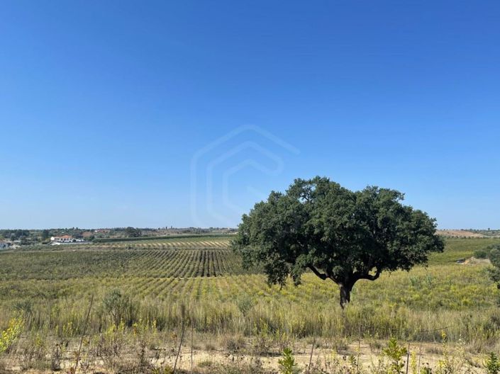 Image No.4-House for sale