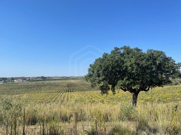 Image No.6-House for sale