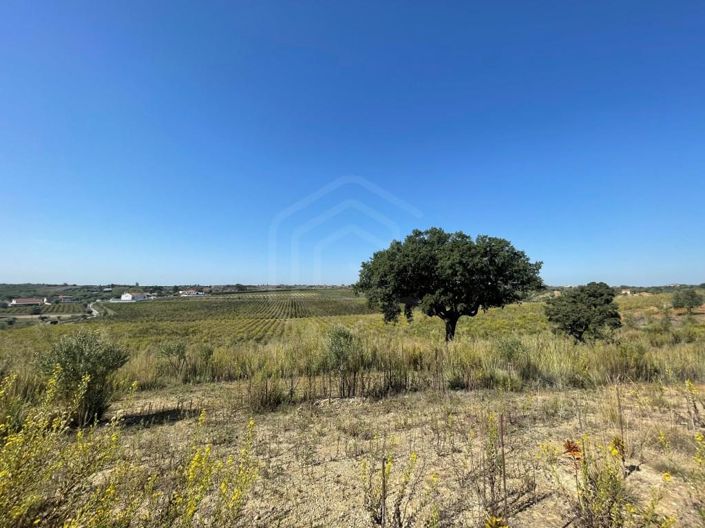 Image No.7-House for sale