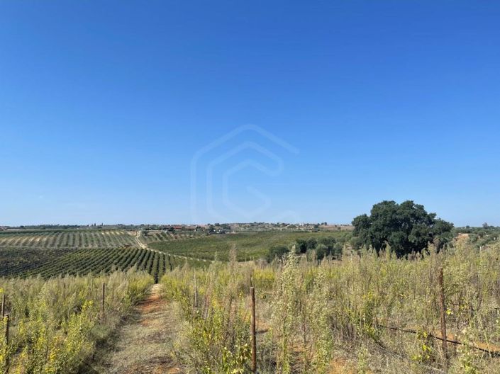 Image No.8-House for sale