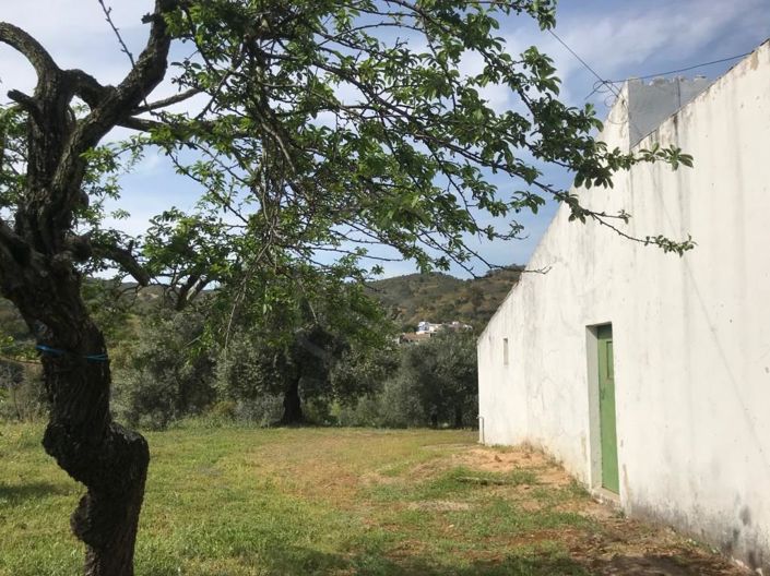 Image No.22-Maison de 2 chambres à vendre à Tavira