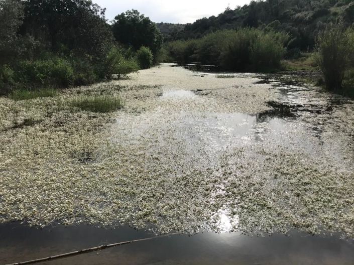 Image No.26-Maison de 2 chambres à vendre à Tavira