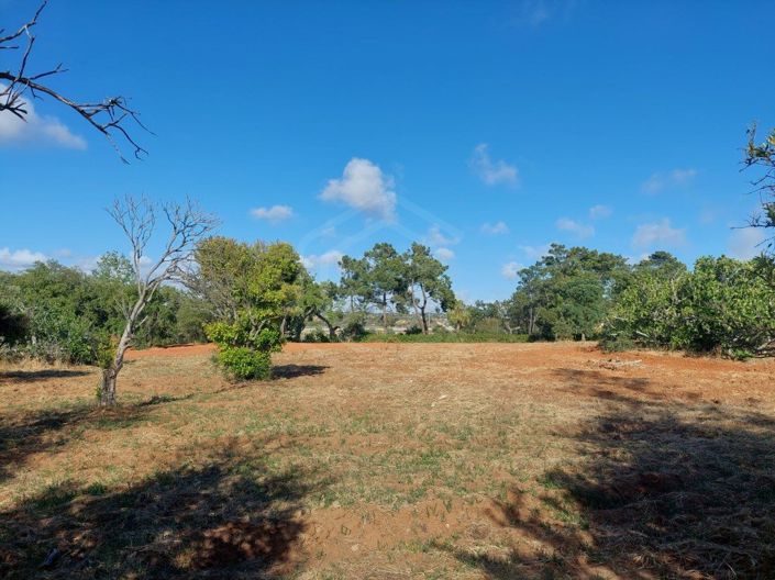 Image No.3-2 Bed House for sale