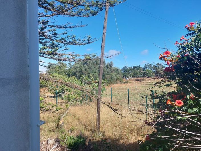 Image No.31-2 Bed House for sale