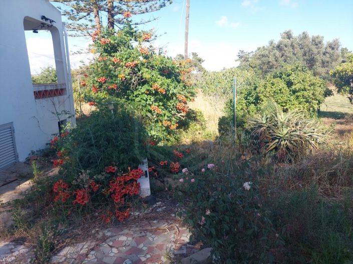 Image No.34-2 Bed House for sale