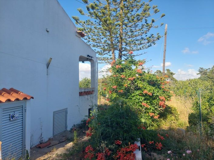 Image No.34-2 Bed House for sale