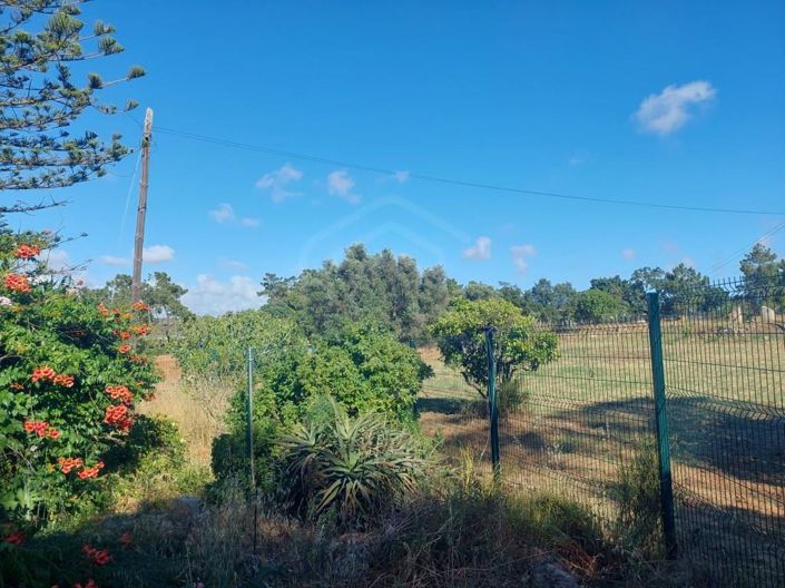 Image No.38-Maison de 2 chambres à vendre à Silves