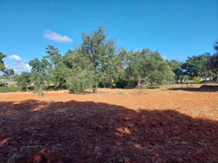 Image No.39-Maison de 2 chambres à vendre à Silves