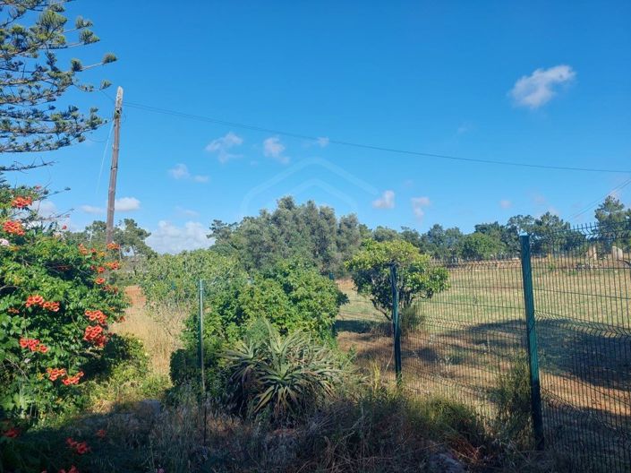 Image No.39-2 Bed House for sale