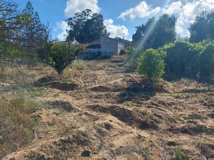 Image No.41-2 Bed House for sale