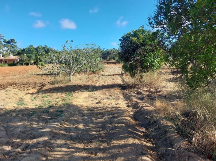 Image No.41-2 Bed House for sale