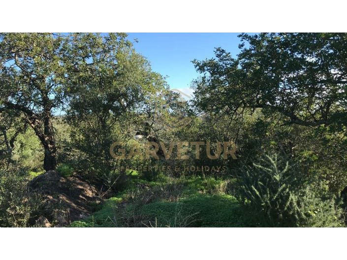 Image No.15-Maison de 1 chambre à vendre à Tavira