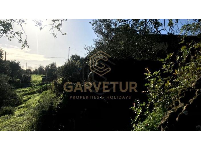 Image No.17-1 Bed House for sale