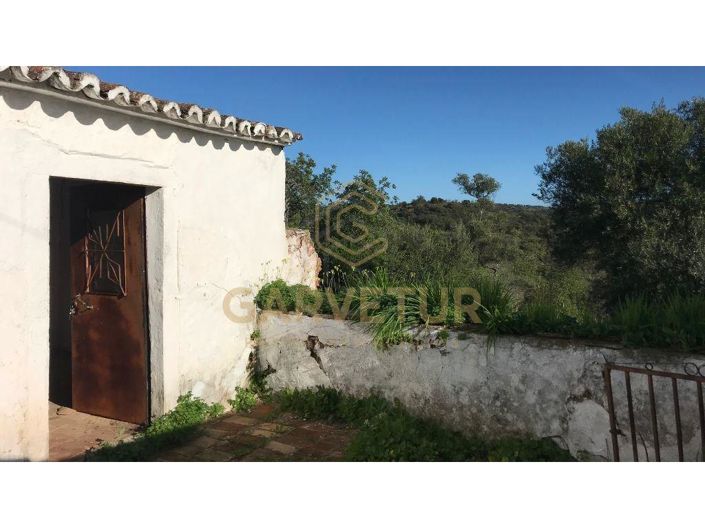 Image No.3-1 Bed House for sale