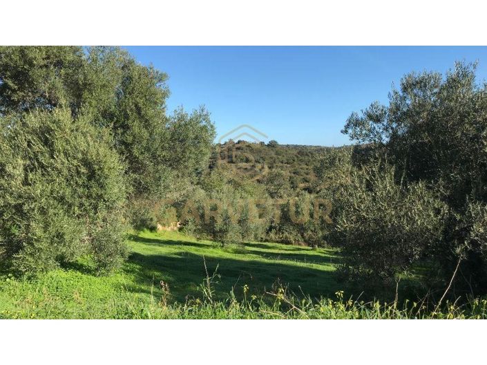 Image No.9-1 Bed House for sale