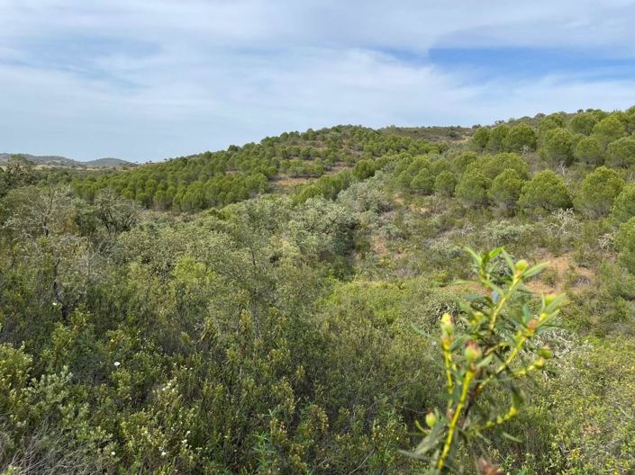 Image No.10-House for sale