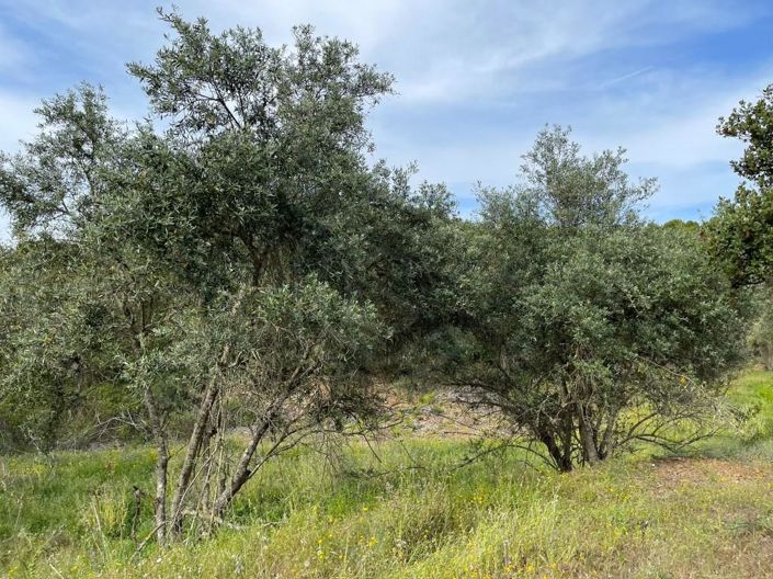 Image No.10-House for sale