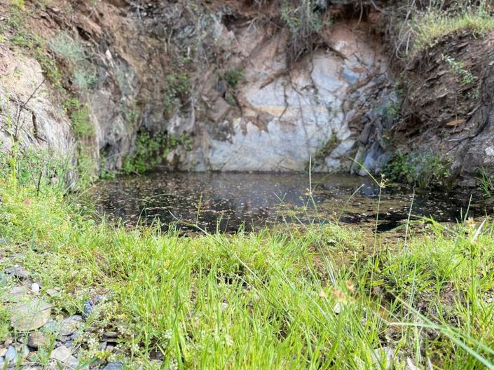 Image No.11-House for sale