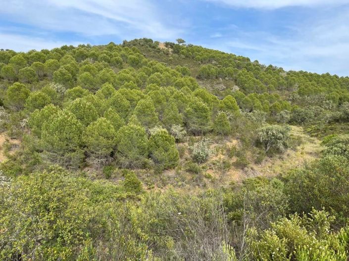 Image No.13-House for sale